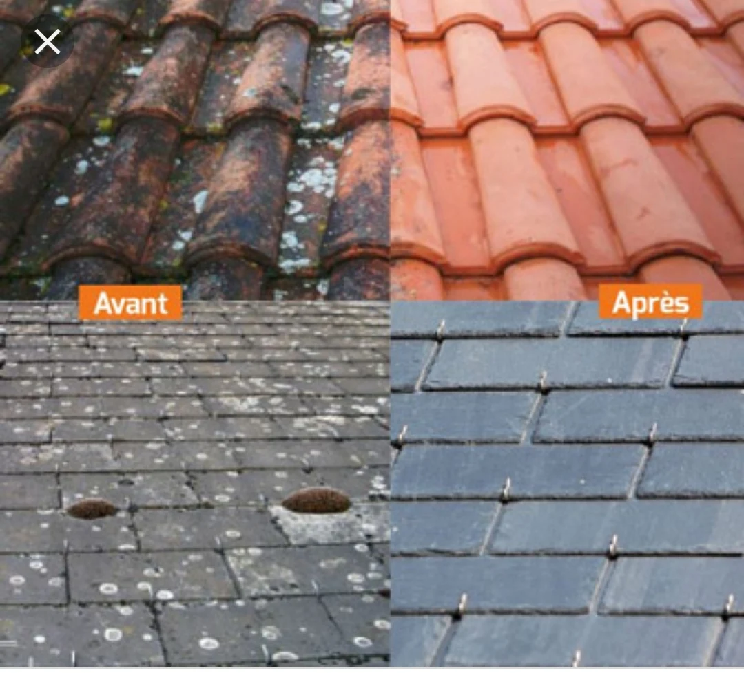 Démoussage de toiture à Aulnoye-Aymeries